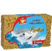 námořní houby